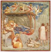 GIOTTO di Bondone Birth of Christ oil on canvas